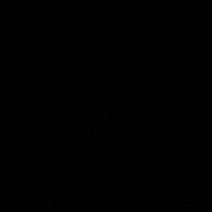 Meet your Posher, Elise